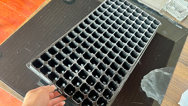 濟寧香蕉视频下载APP最新版官方下载穴盤