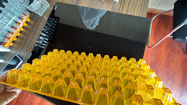 香蕉视频下载APP最新版官方下载育苗穴盤