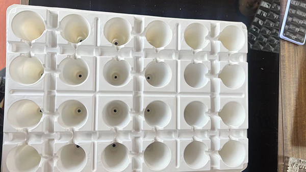 香蕉视频下载APP最新版官方下载草莓盤價格